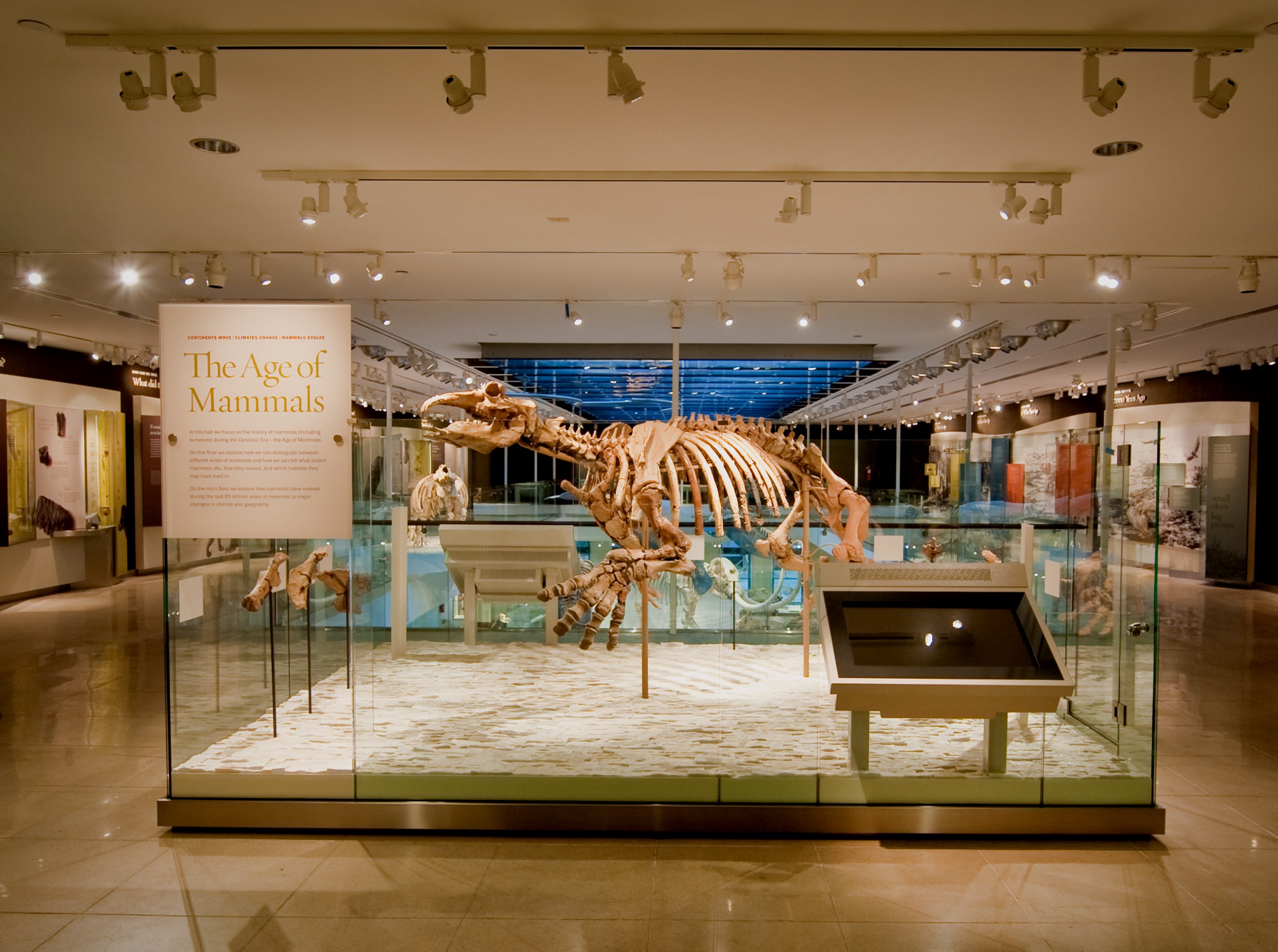 Museum Of Natural History Exhibits Museum Of Natural History Exhibits